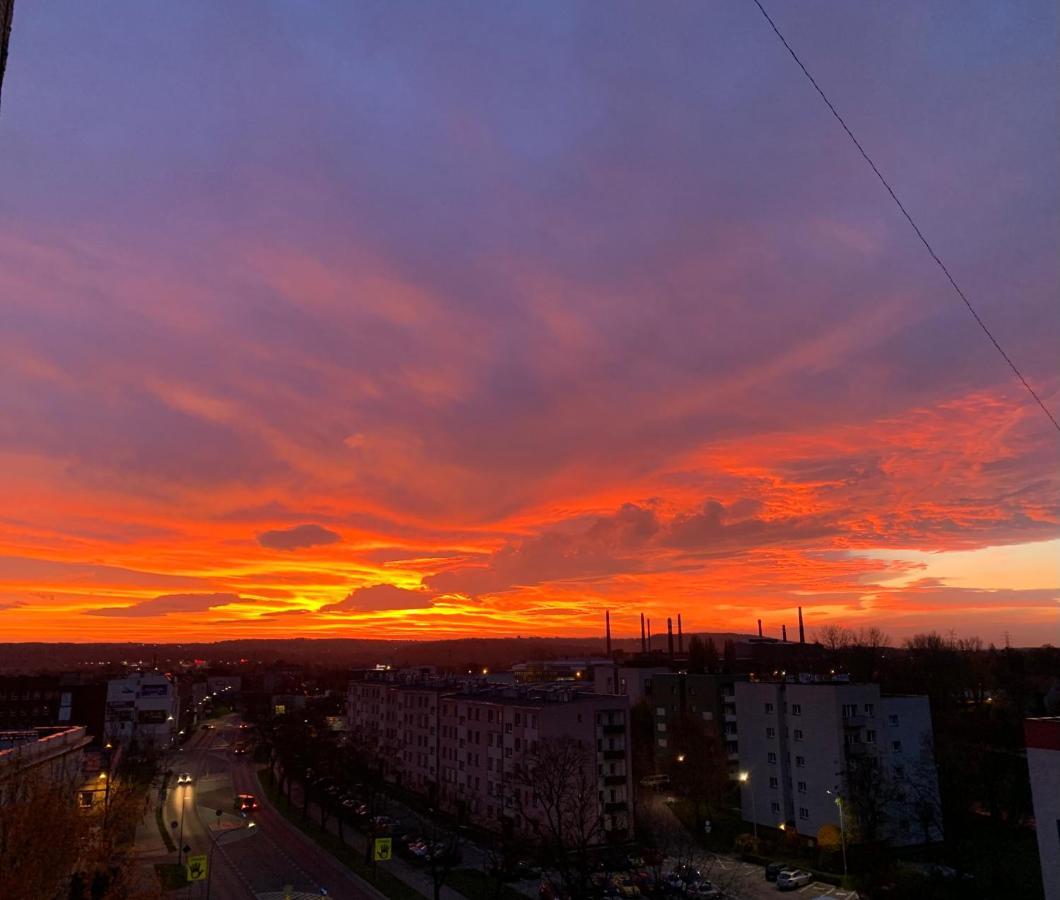 Gosciniec Raciborski Racibórz Kültér fotó